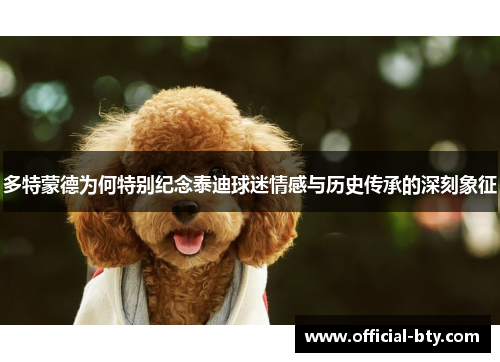多特蒙德为何特别纪念泰迪球迷情感与历史传承的深刻象征