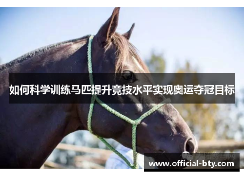 如何科学训练马匹提升竞技水平实现奥运夺冠目标