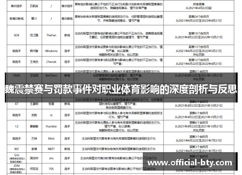 魏震禁赛与罚款事件对职业体育影响的深度剖析与反思